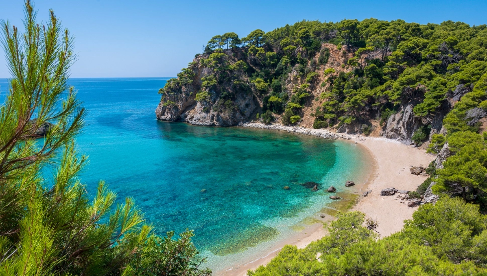 A serene beach cove with clear turquoise water and lush greenery.