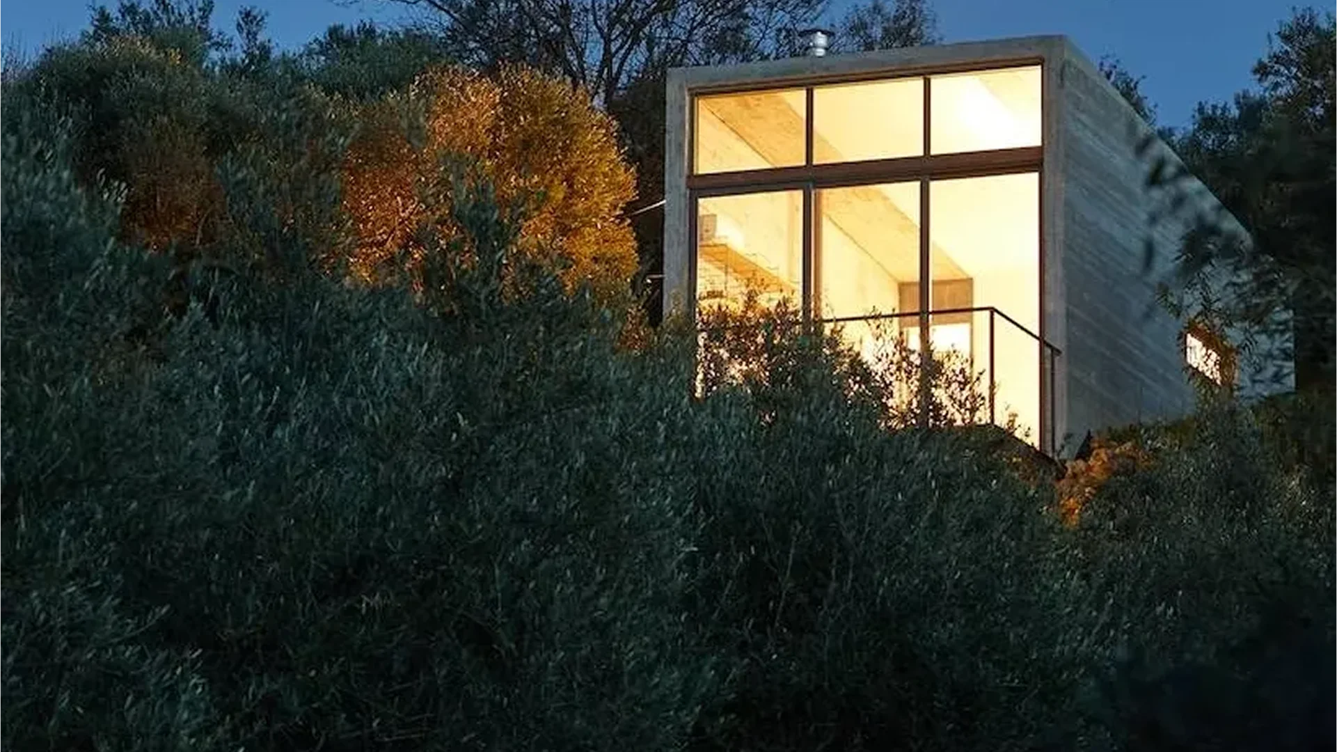 Modern house illuminated at night amidst dense trees.