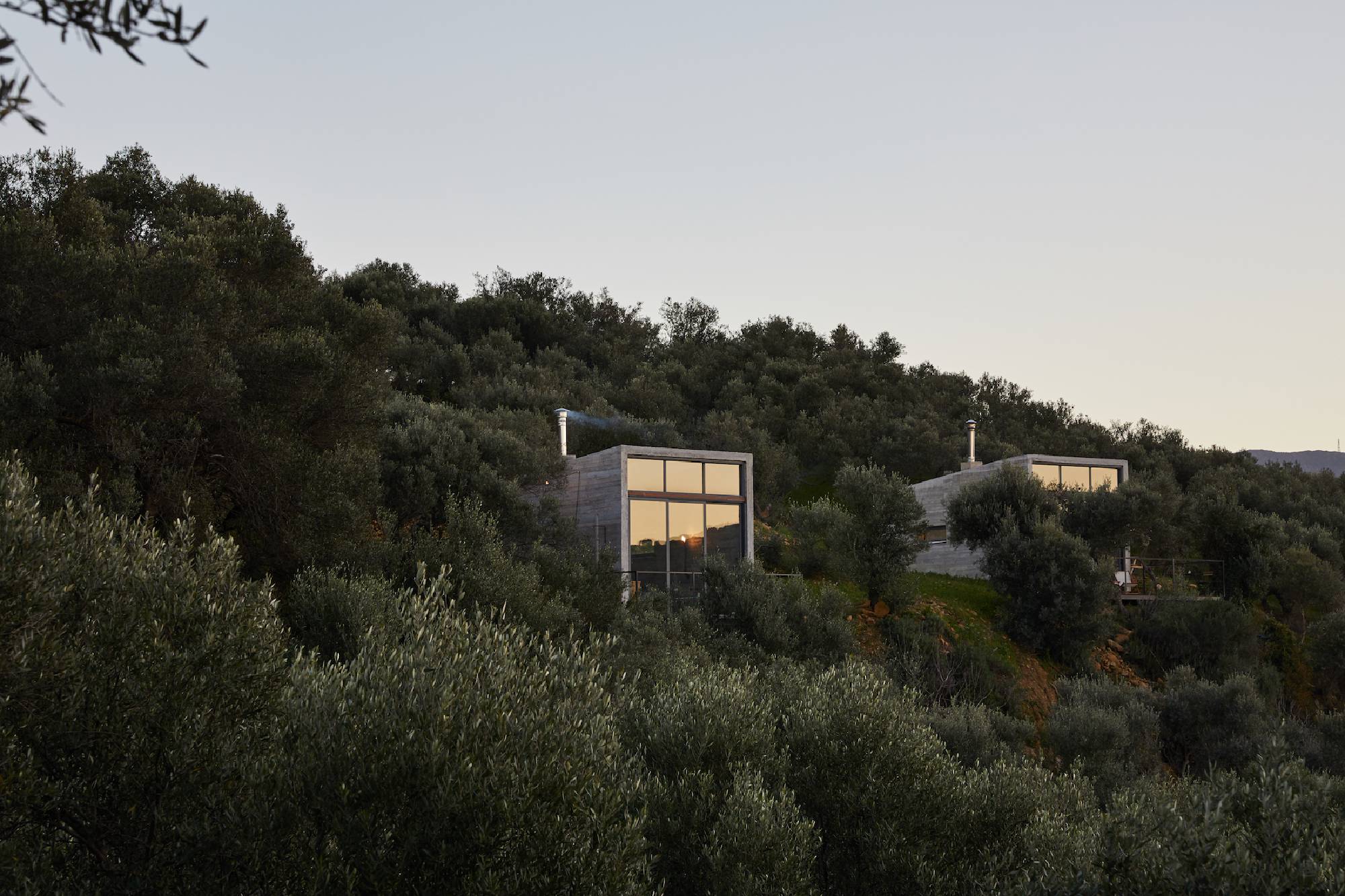 Modern glass house nestled in lush green hillside at dusk.