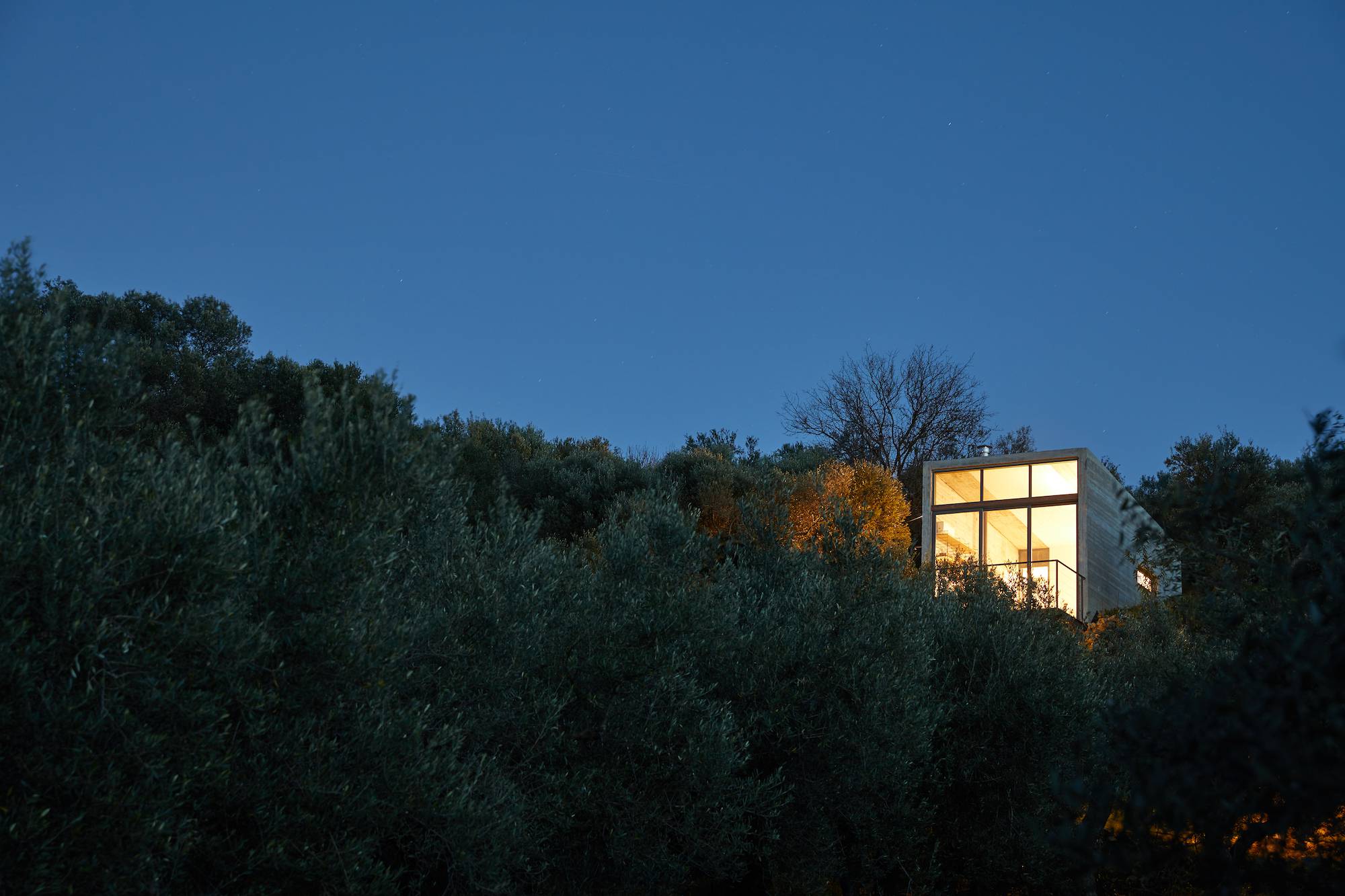 A modern glass house illuminated at dusk behind dense trees.