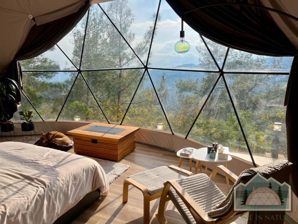Cozy dome tent with a bed and scenic mountain view.