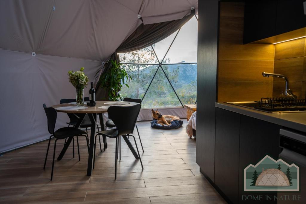 Modern dining area inside a luxury tent with scenic mountain views.