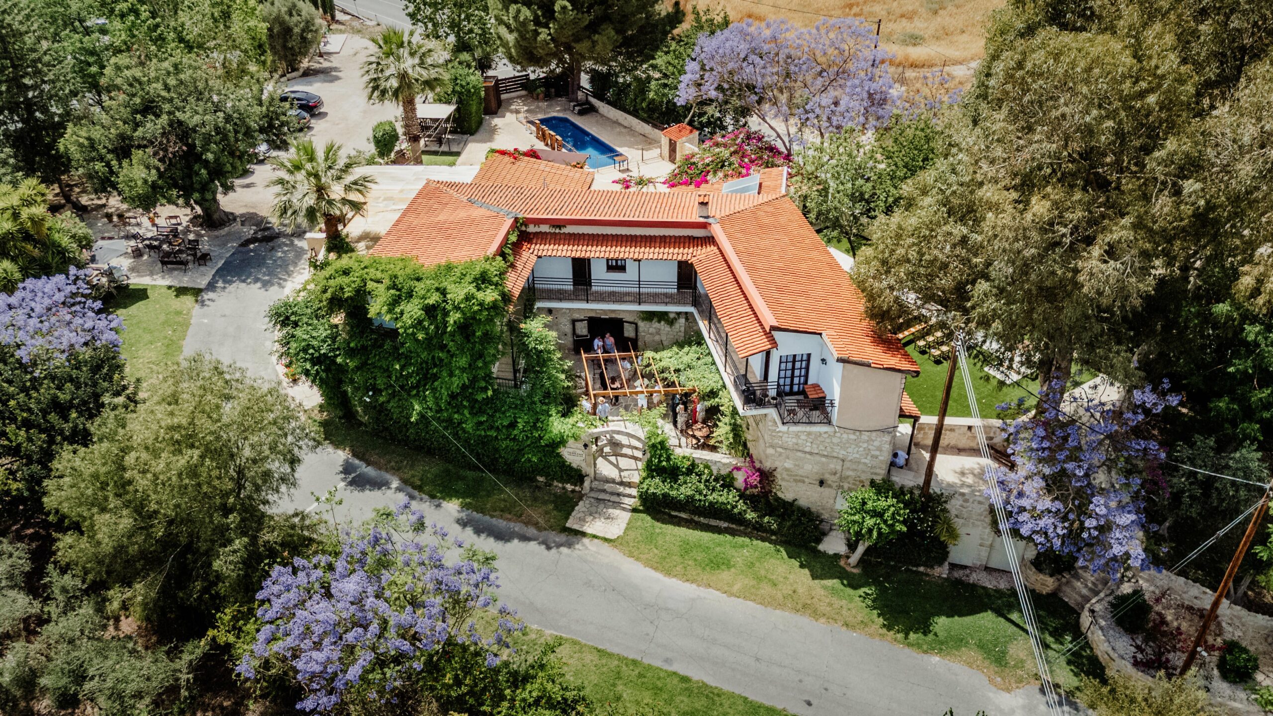A charming house with a red tile roof surrounded by greenery and blooming jacaranda trees.