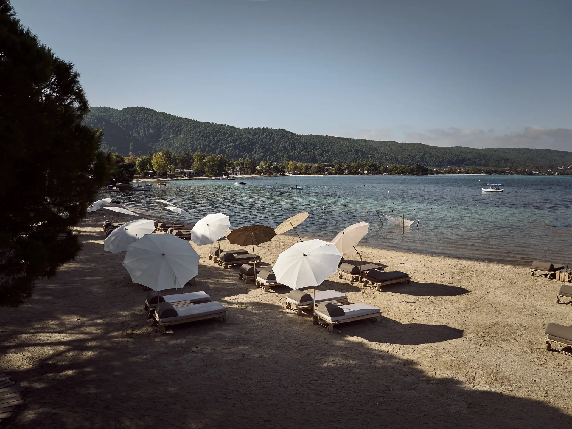 Beach with lounge chairs and umbrellas by calm water.