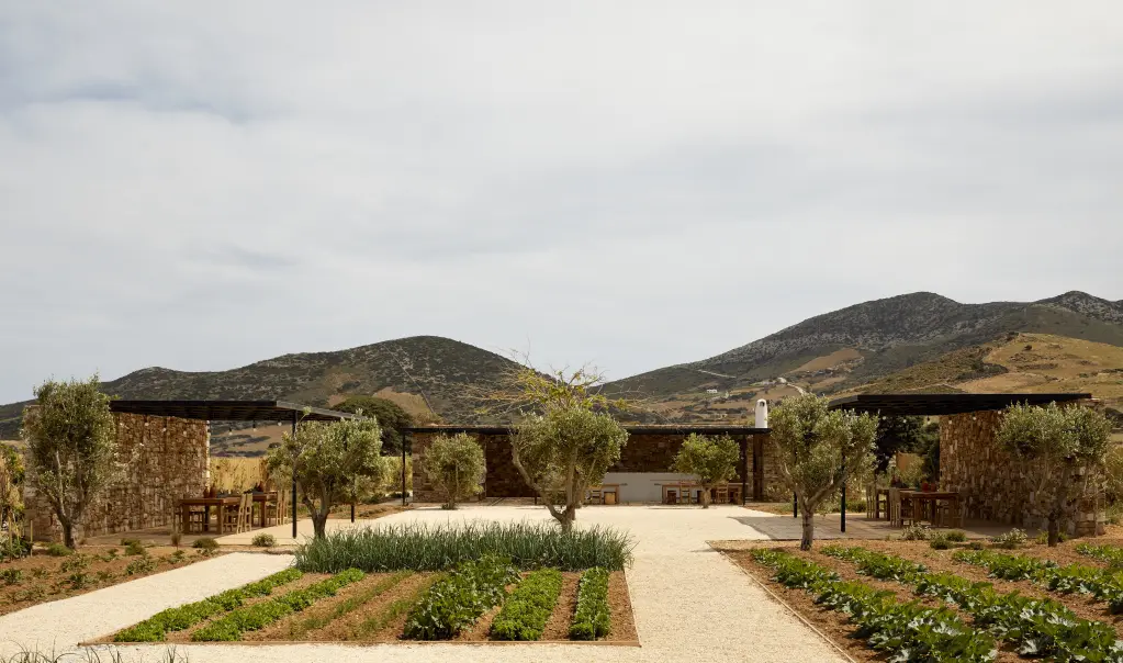 A serene garden pathway leading to a modern building between hills.
