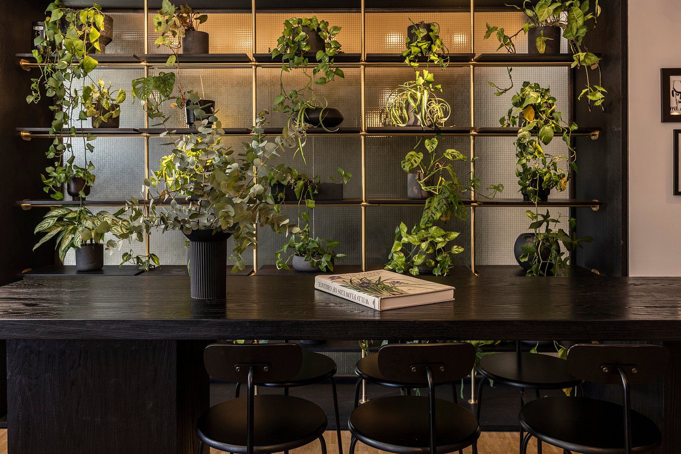Cozy indoor plant display with modern shelves and a wooden table.