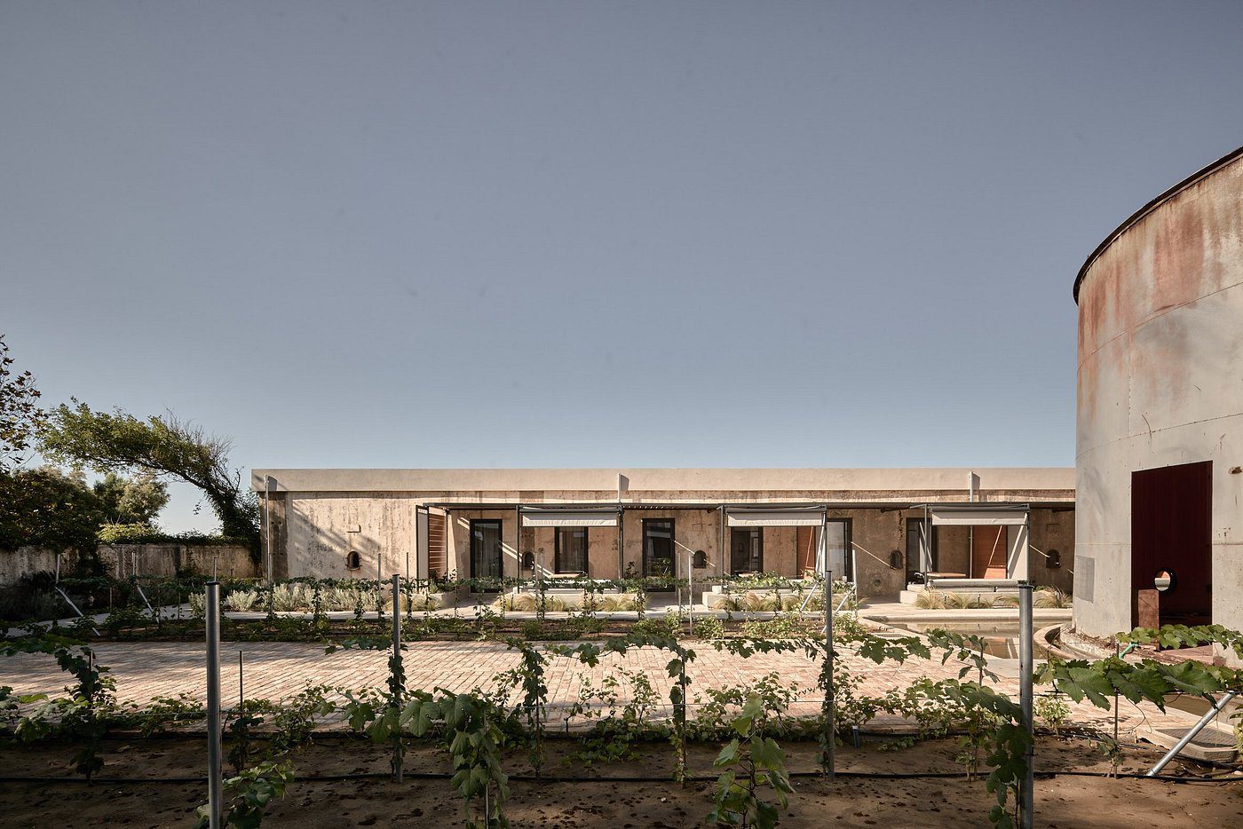 Single-story house with a stone wall and garden under a clear sky.