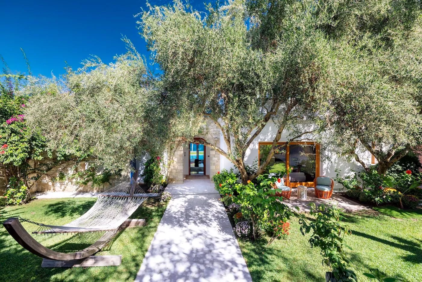 Charming house entrance framed by lush olive trees and vibrant greenery.