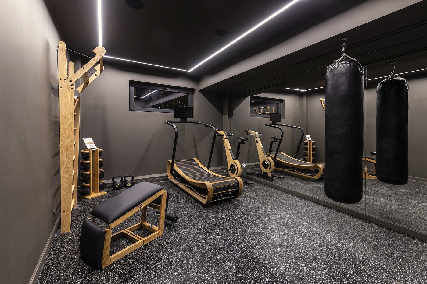 Modern home gym with advanced fitness equipment and sleek design.