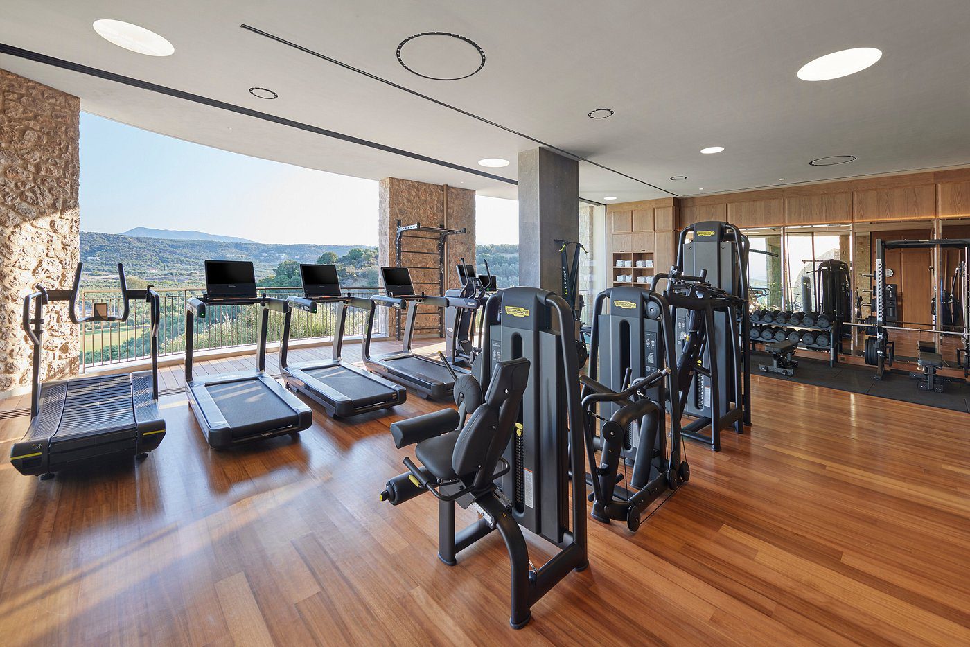 Modern gym with treadmills and weight machines overlooking scenic hills.