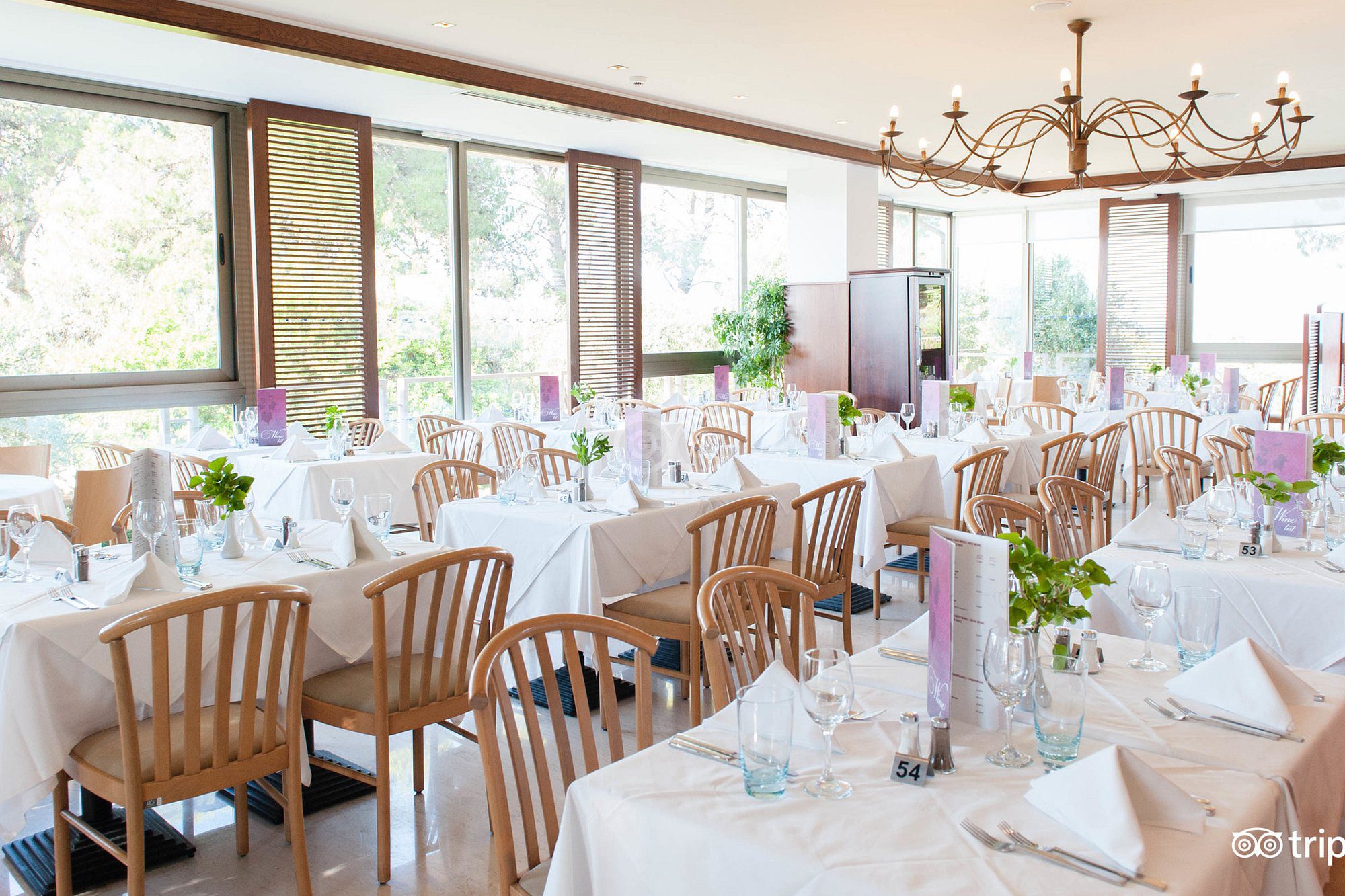 Elegantly set dining tables in a bright, spacious room with large windows.