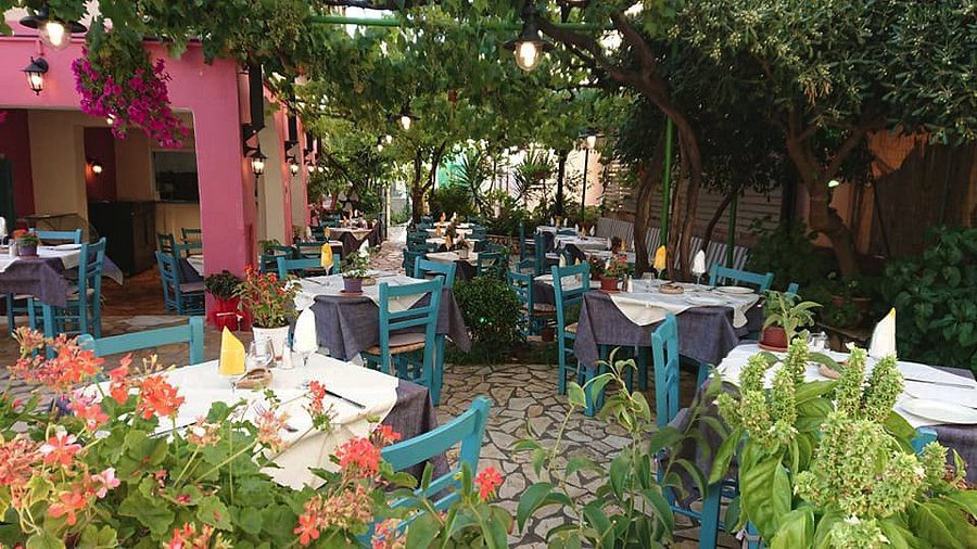 Charming outdoor dining area with colorful chairs and lush greenery.