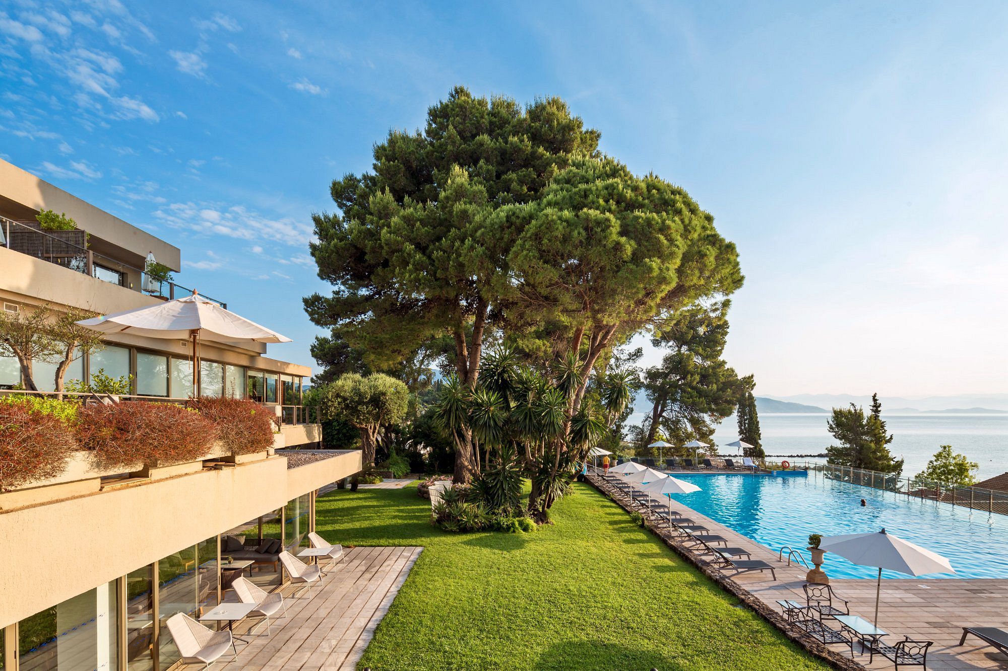 Luxurious poolside area with a large tree and ocean view.