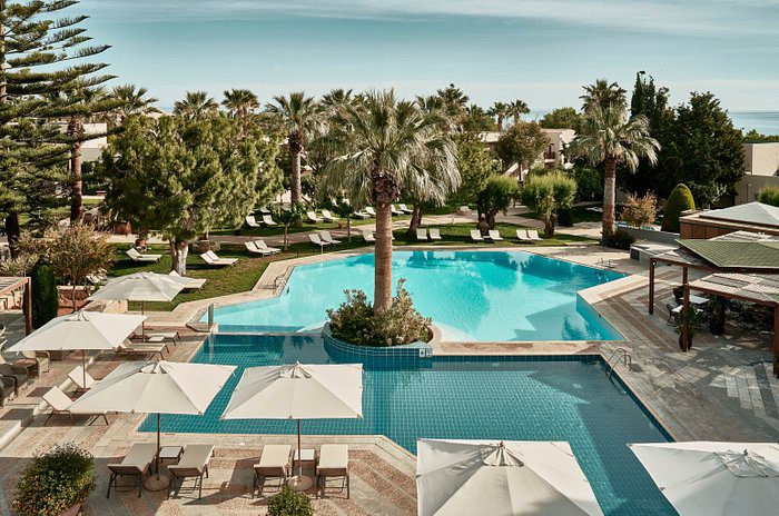 Luxurious outdoor pool surrounded by palm trees and sun loungers.