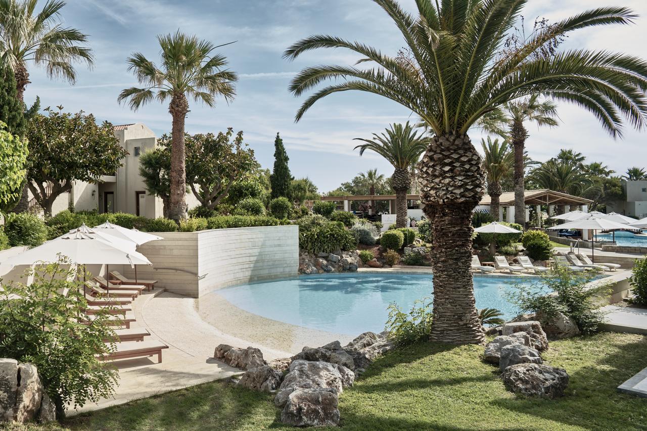Luxurious outdoor pool surrounded by palm trees and greenery at a sunny resort.