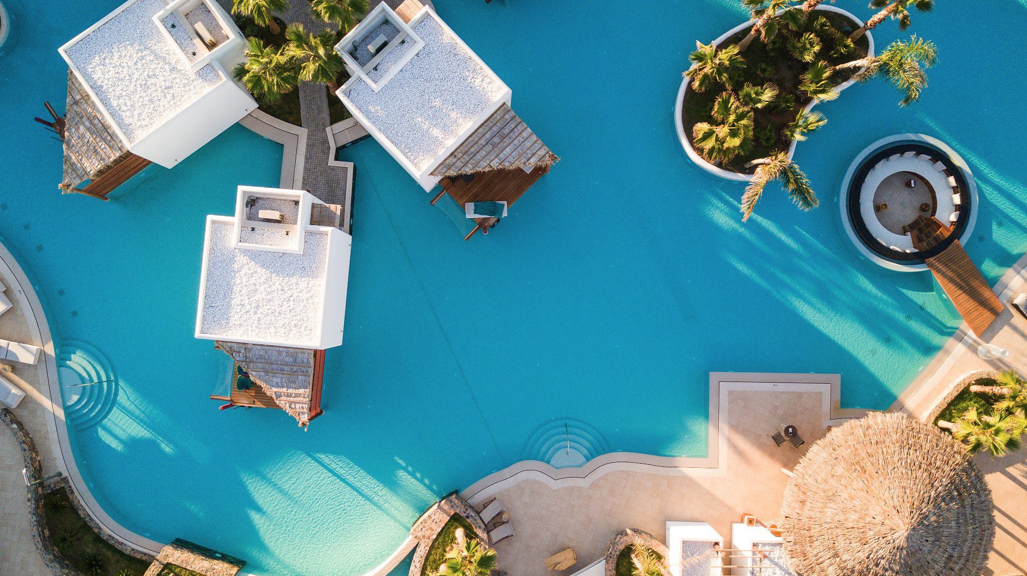 Top-down view of a blue swimming pool with lounge chairs and plants.