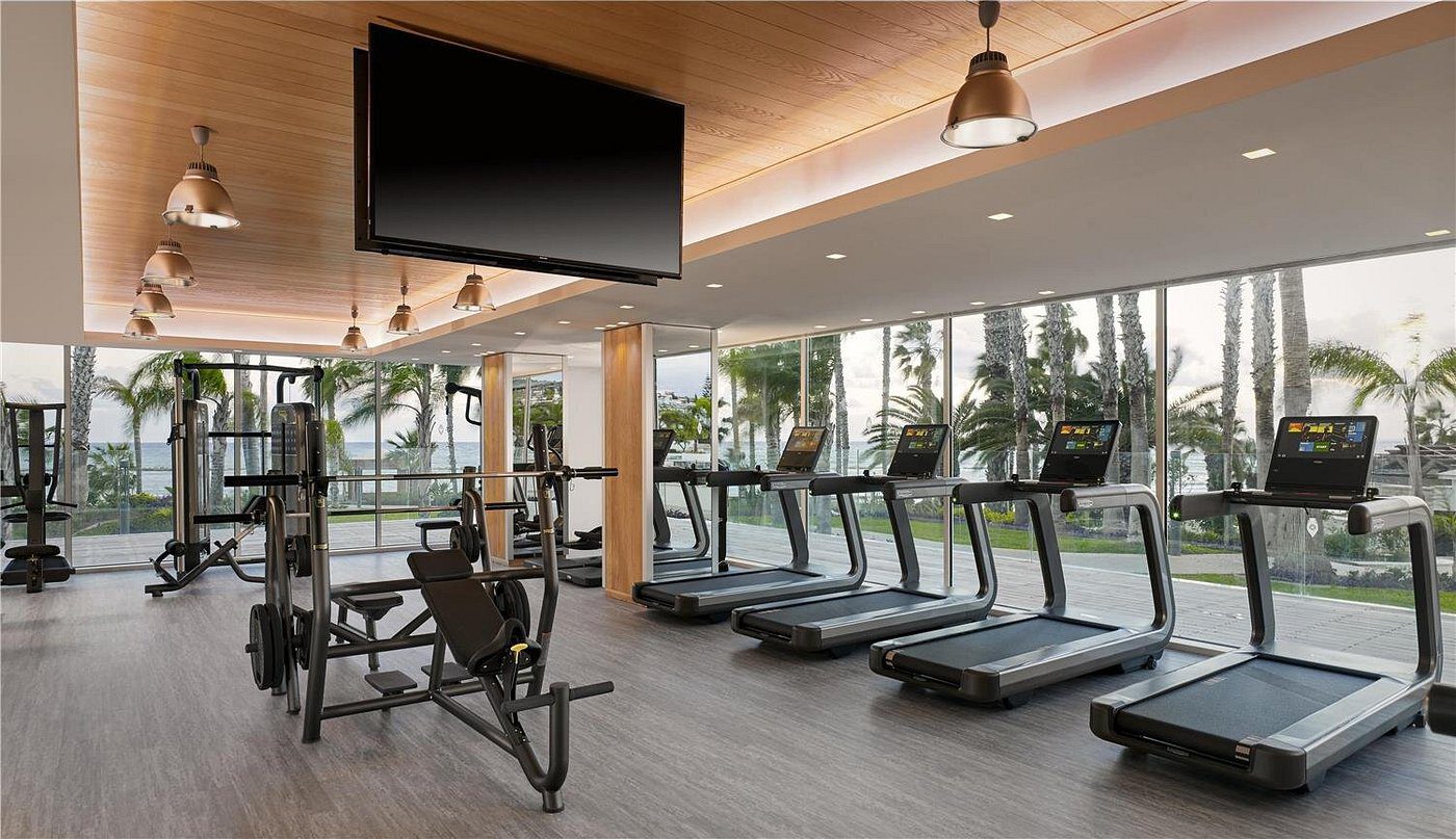 Modern gym with cardio equipment and large windows.