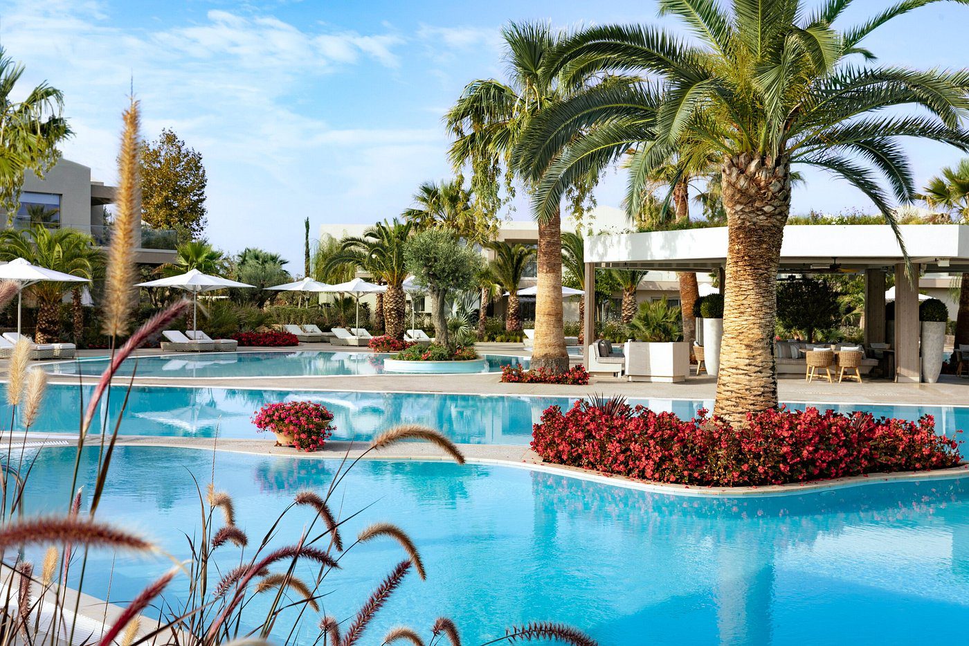 Luxurious outdoor pool surrounded by palm trees and vibrant flowers.