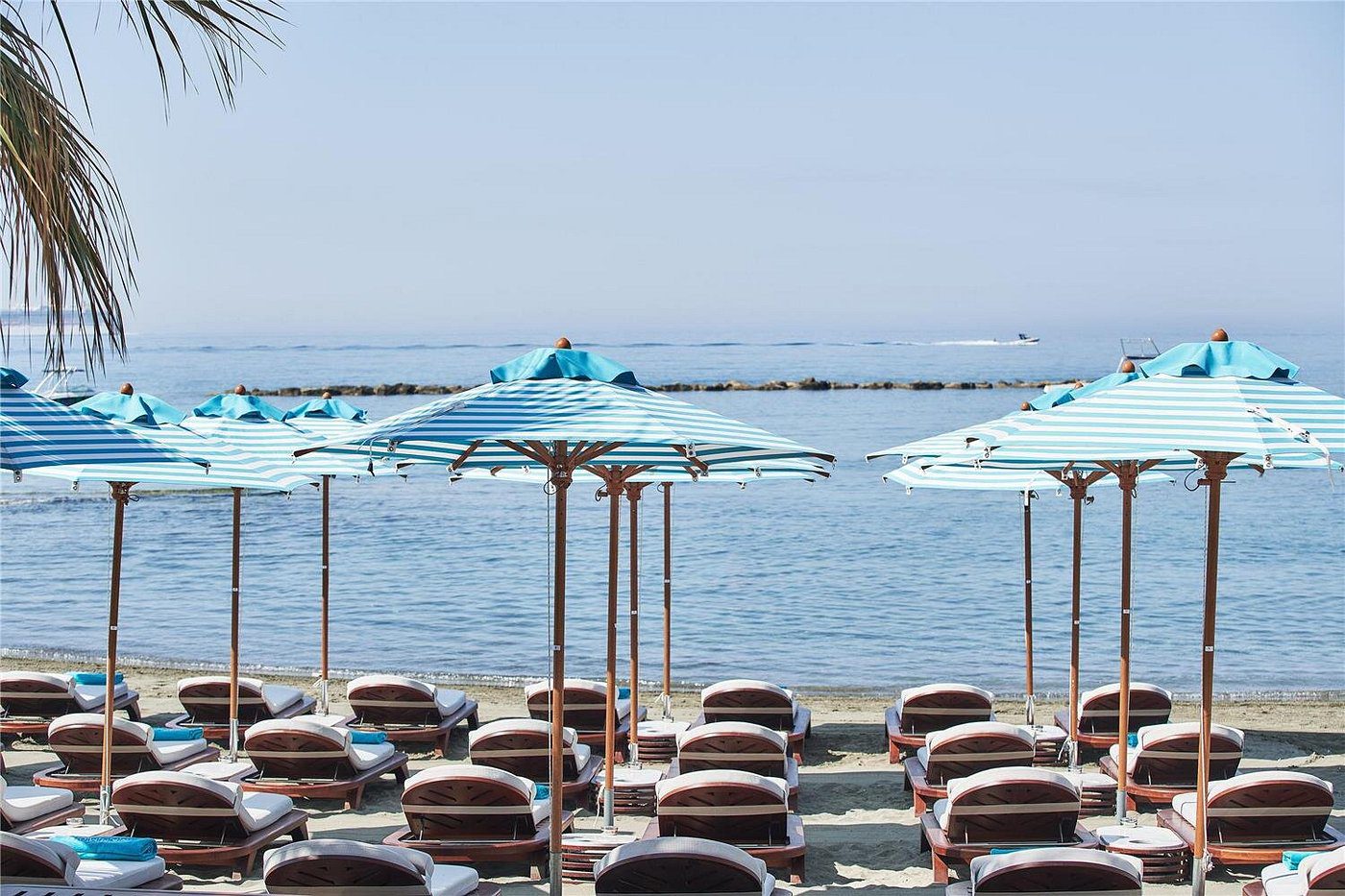 Beach umbrellas and lounge chairs lined up by the calm sea.