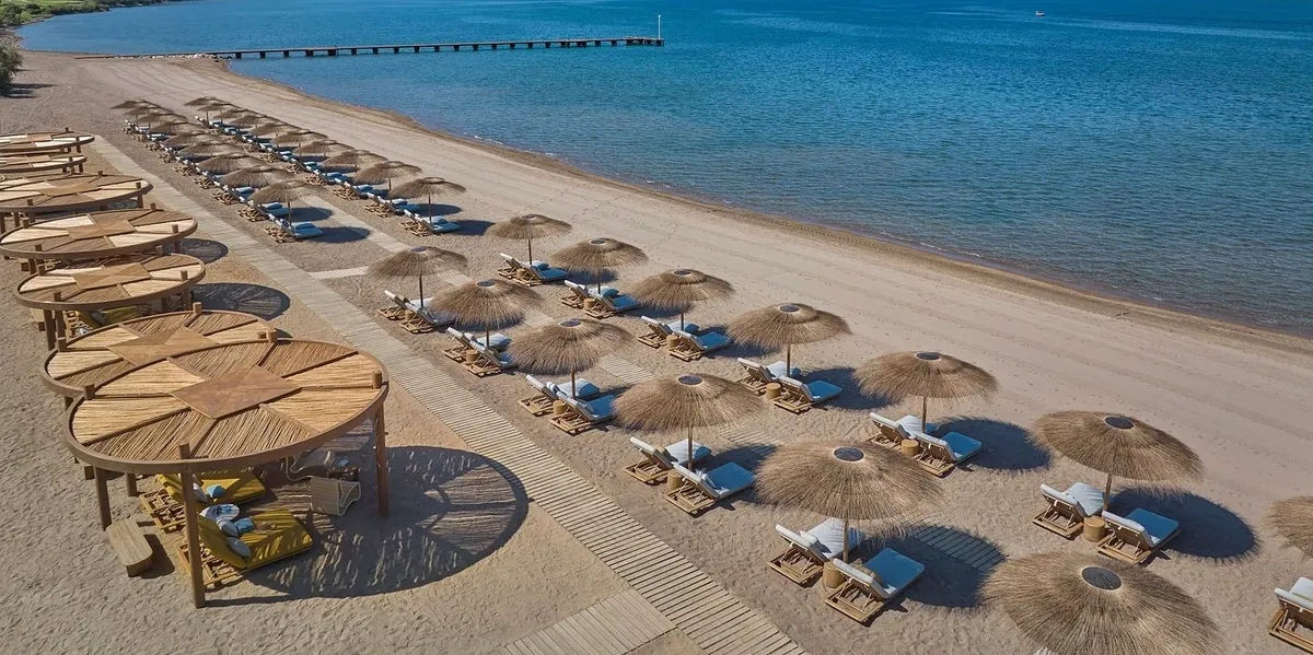 A serene beach with straw umbrellas and lounge chairs by the clear blue sea.